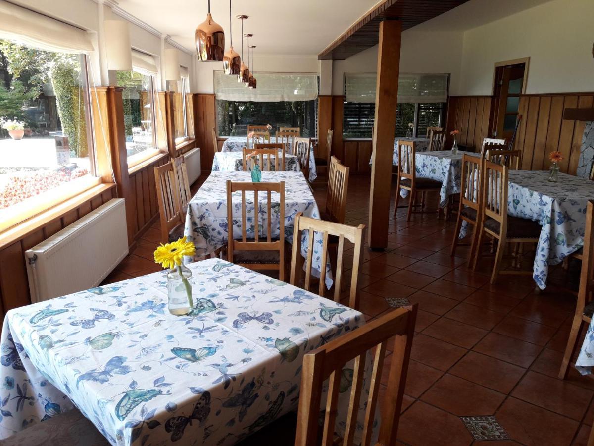 Hotel Y Cabanas El Parque Villarrica Zewnętrze zdjęcie
