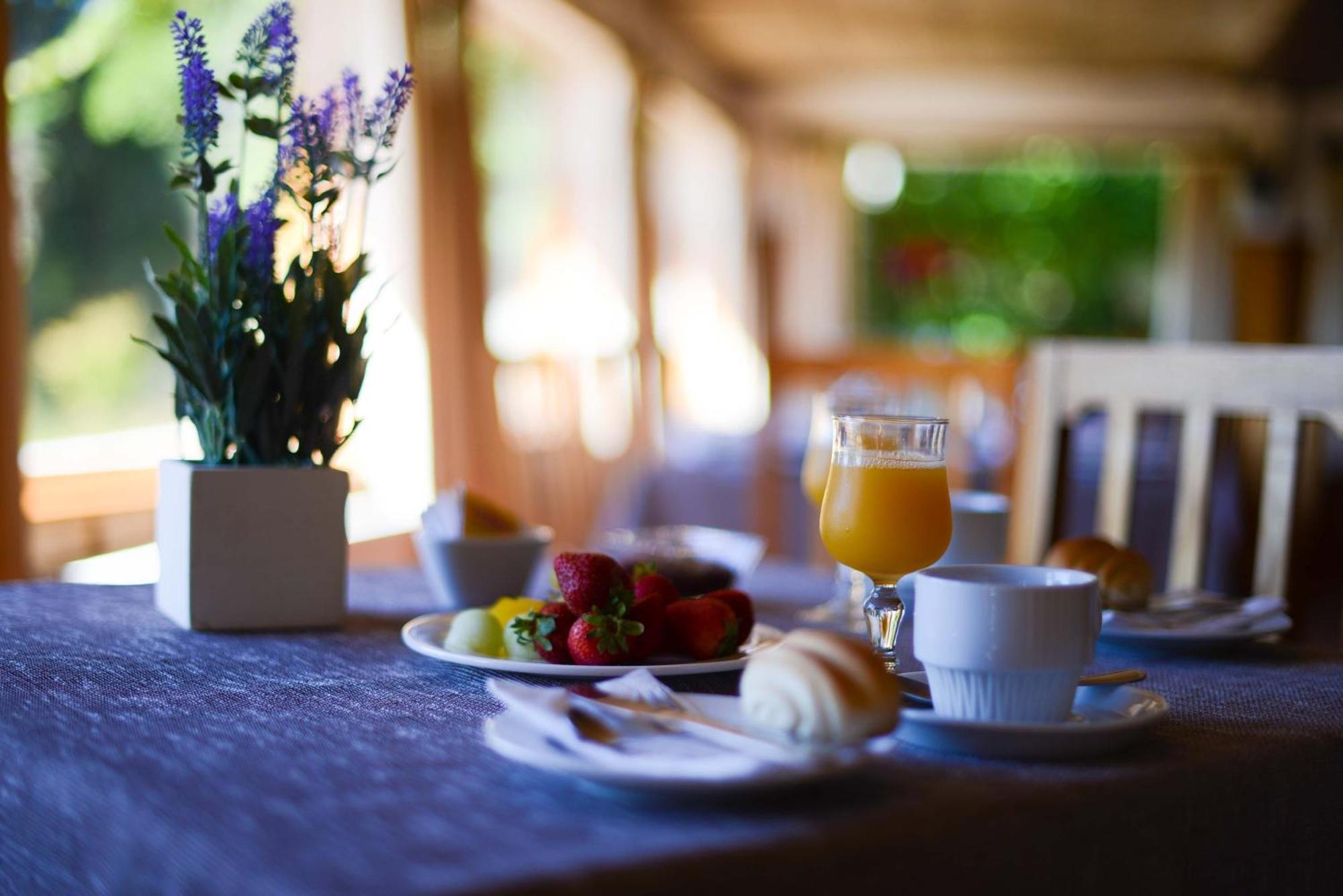 Hotel Y Cabanas El Parque Villarrica Zewnętrze zdjęcie
